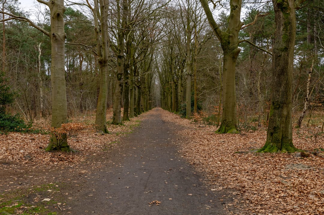 Photo 47 of Van Houtenstraat 44