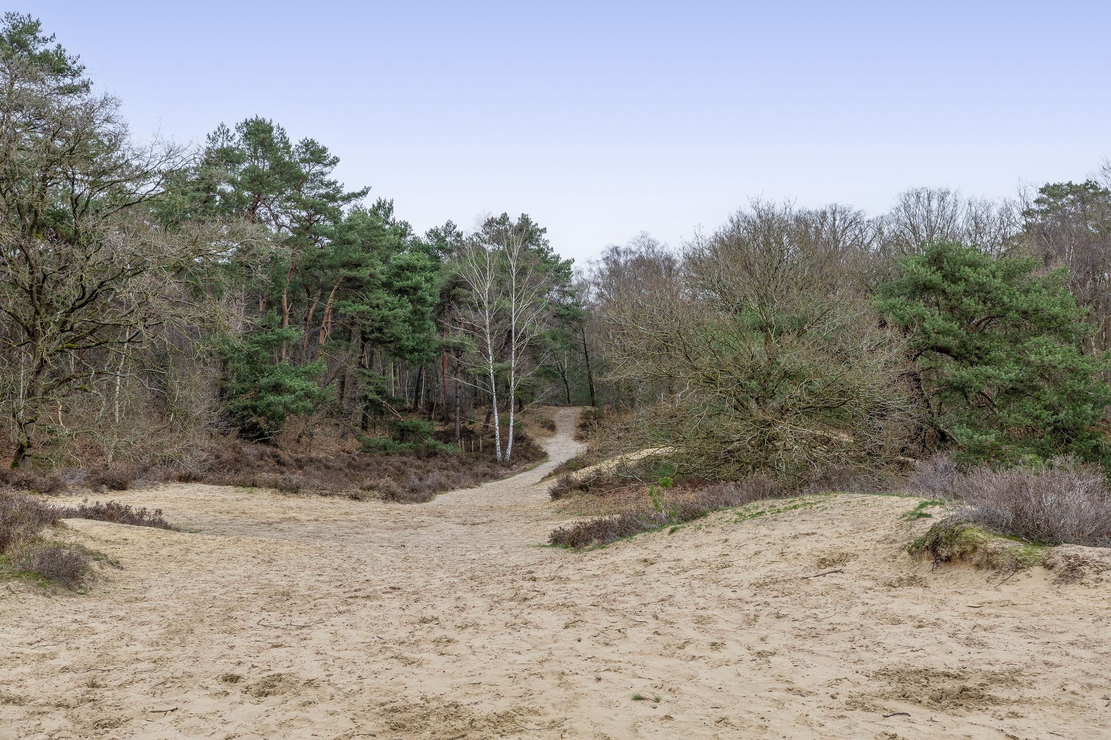 Photo 48 of Van Houtenstraat 44