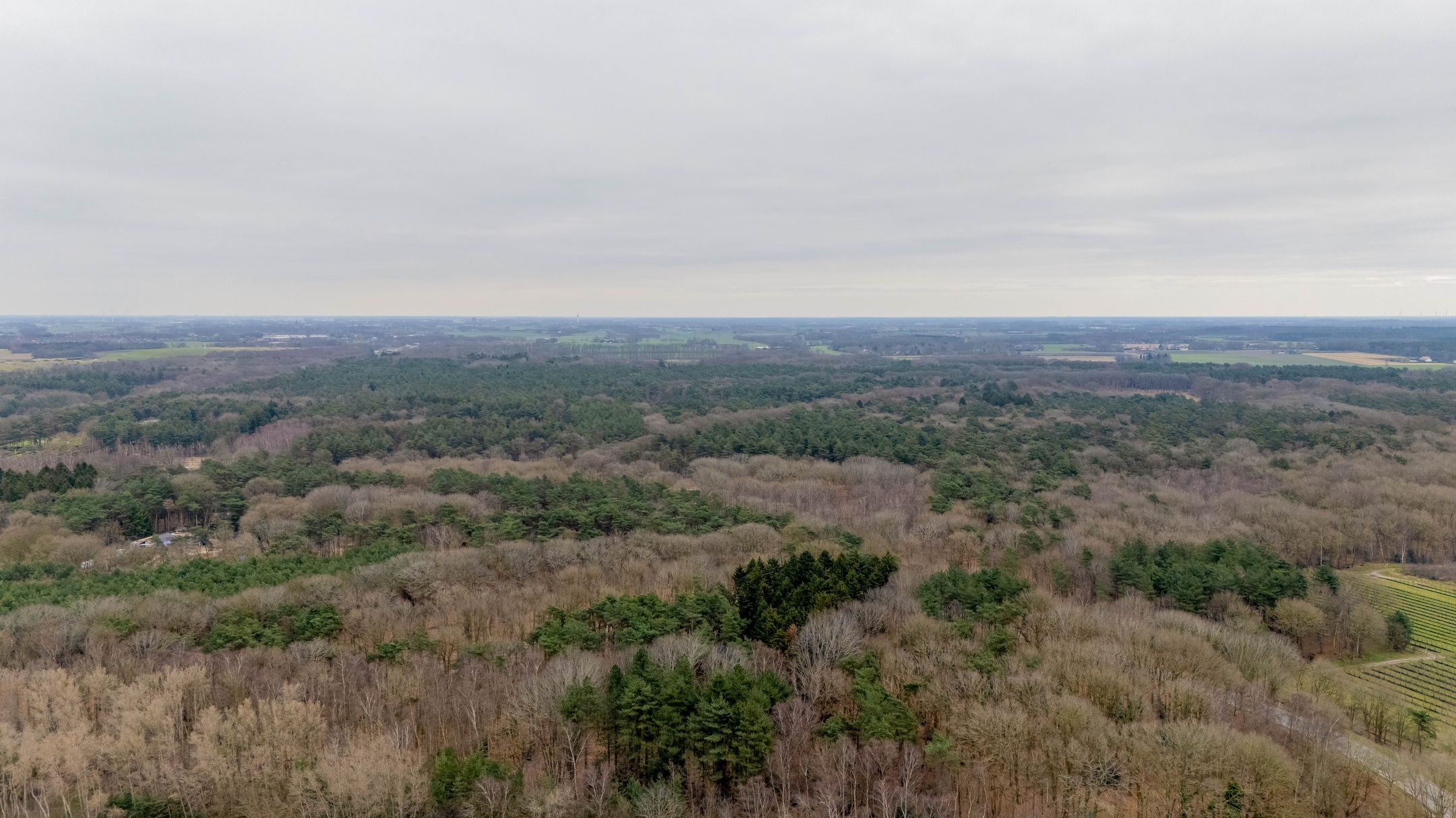 Photo 51 of Van Houtenstraat 44