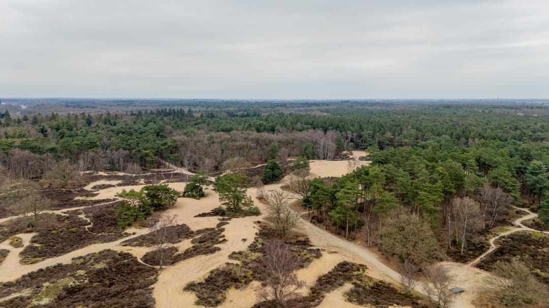 Photo 53 of Van Houtenstraat 44