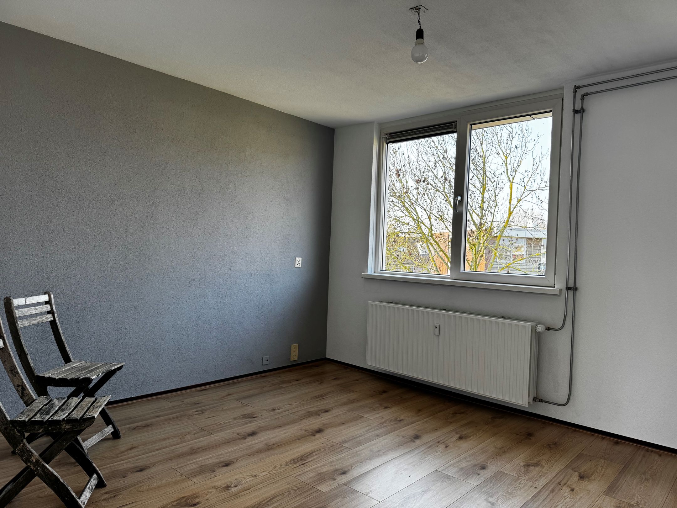 Foto 6 van Aletta Jacobsplantsoen 168