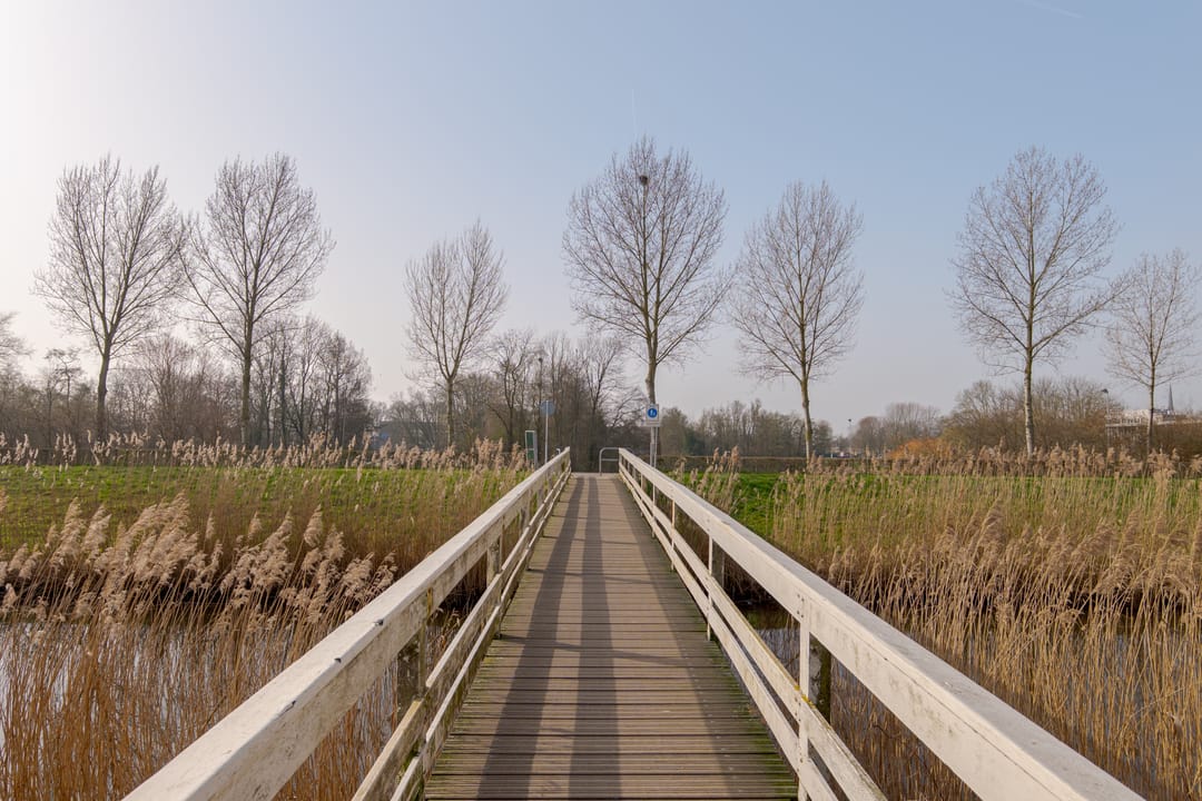 Foto 43 van Van Galenstraat 43