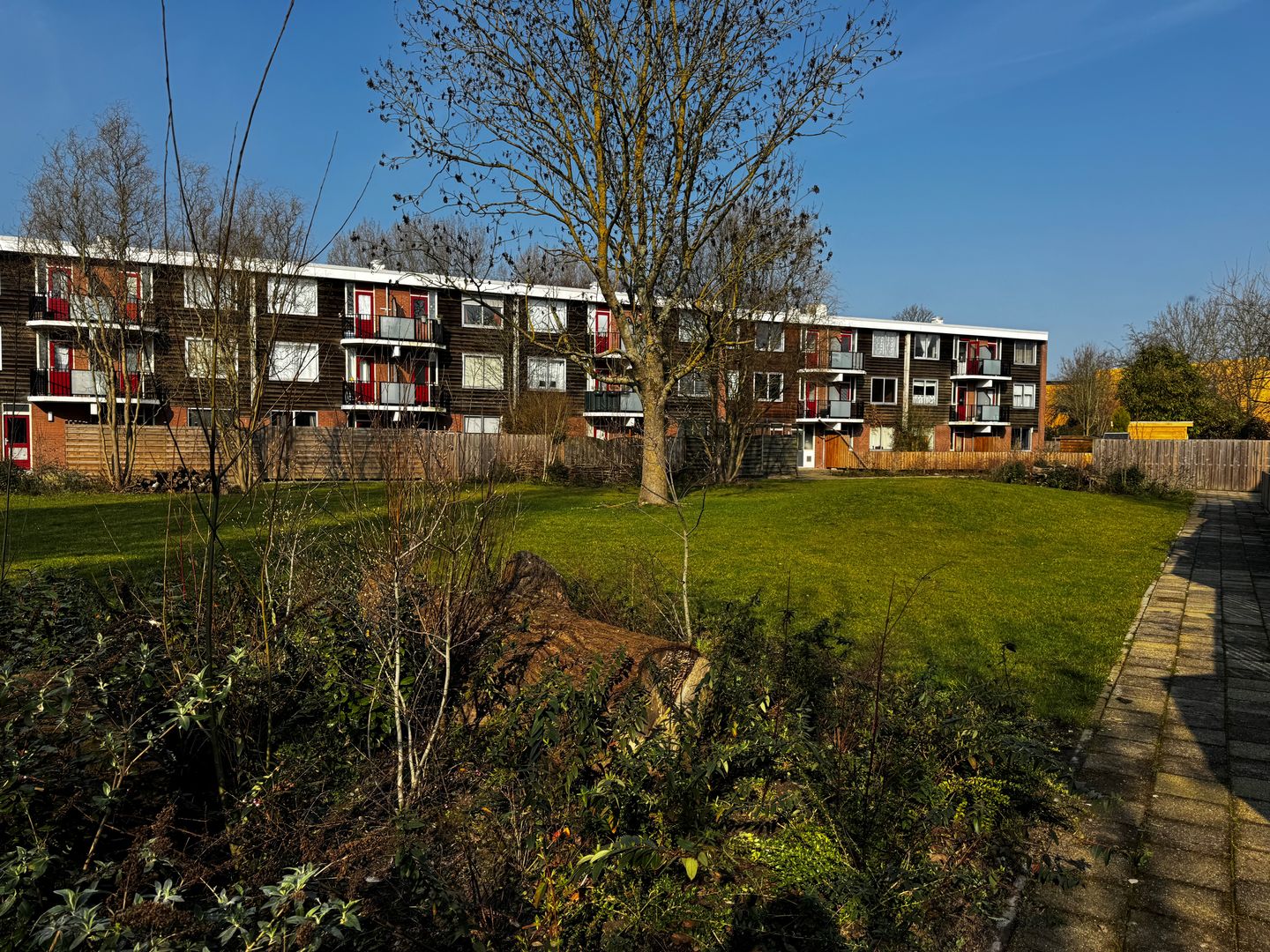 Foto 19 van Aletta Jacobsplantsoen 168