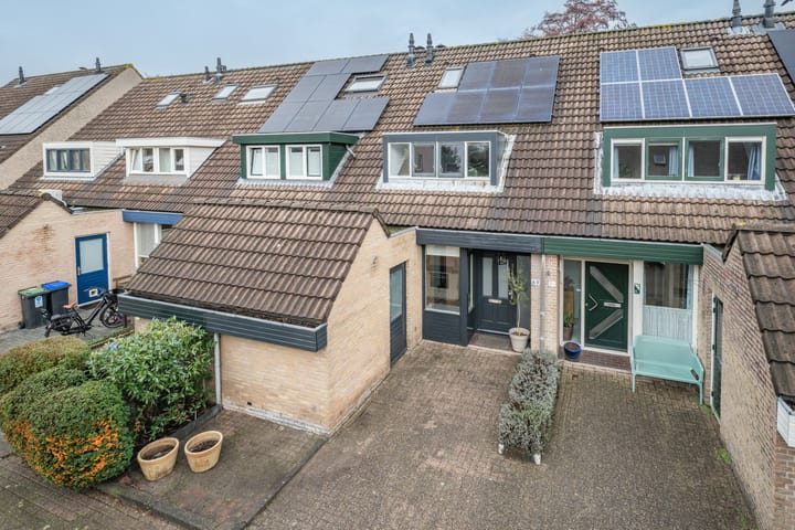 Saffier 69 main image