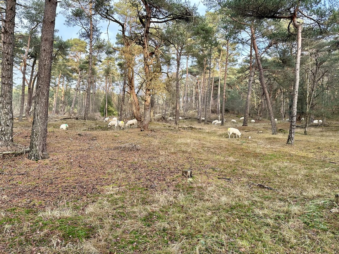 Foto 32 van Gramserweg 15