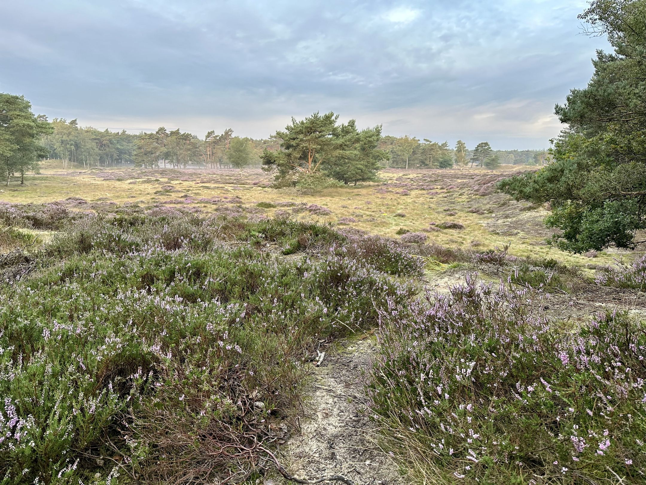 Foto 33 van Gramserweg 15