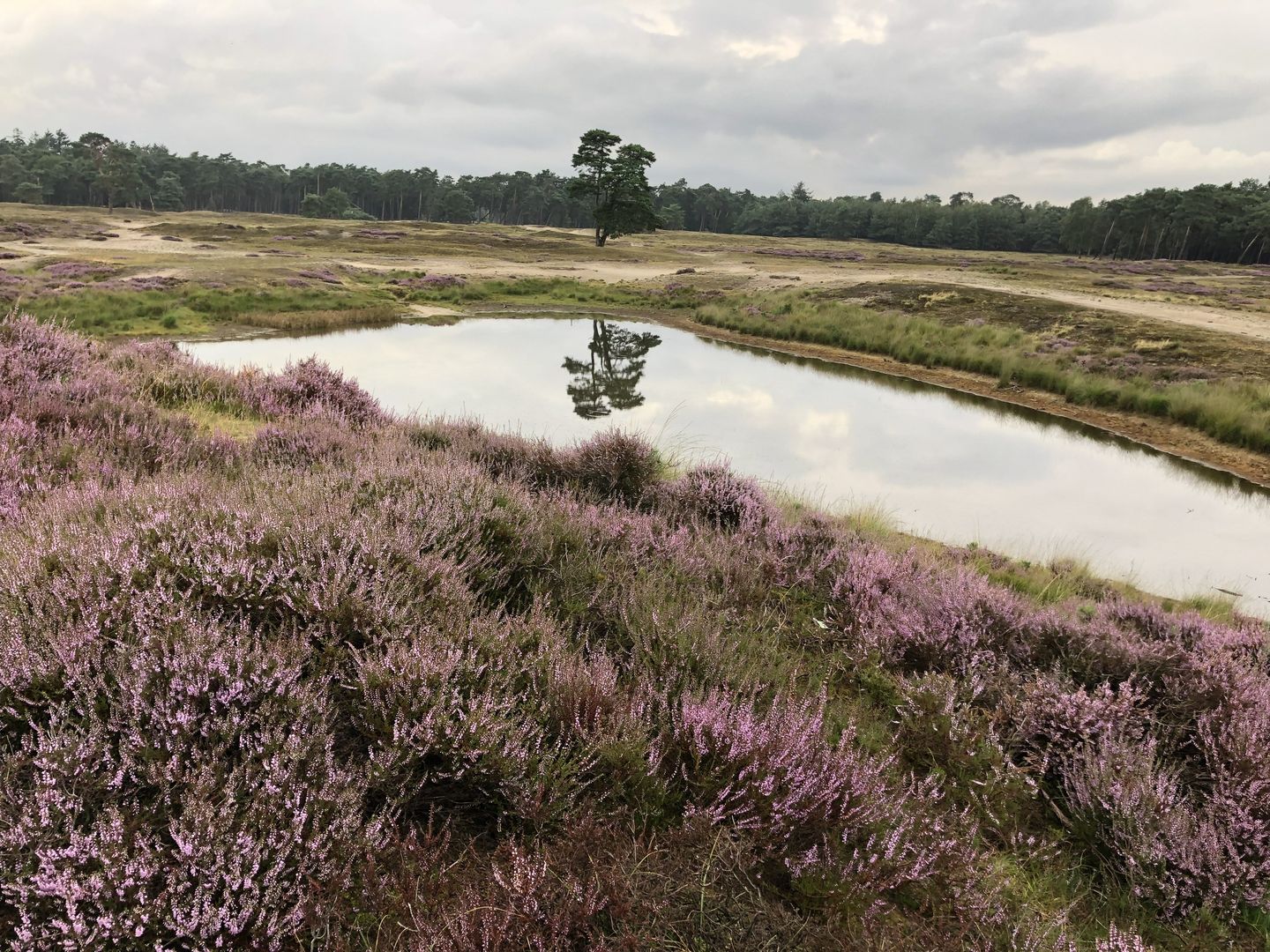 Foto 34 van Gramserweg 15