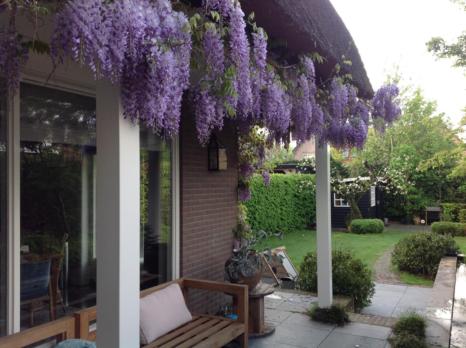 Foto 48 van Van Reenenpark 15