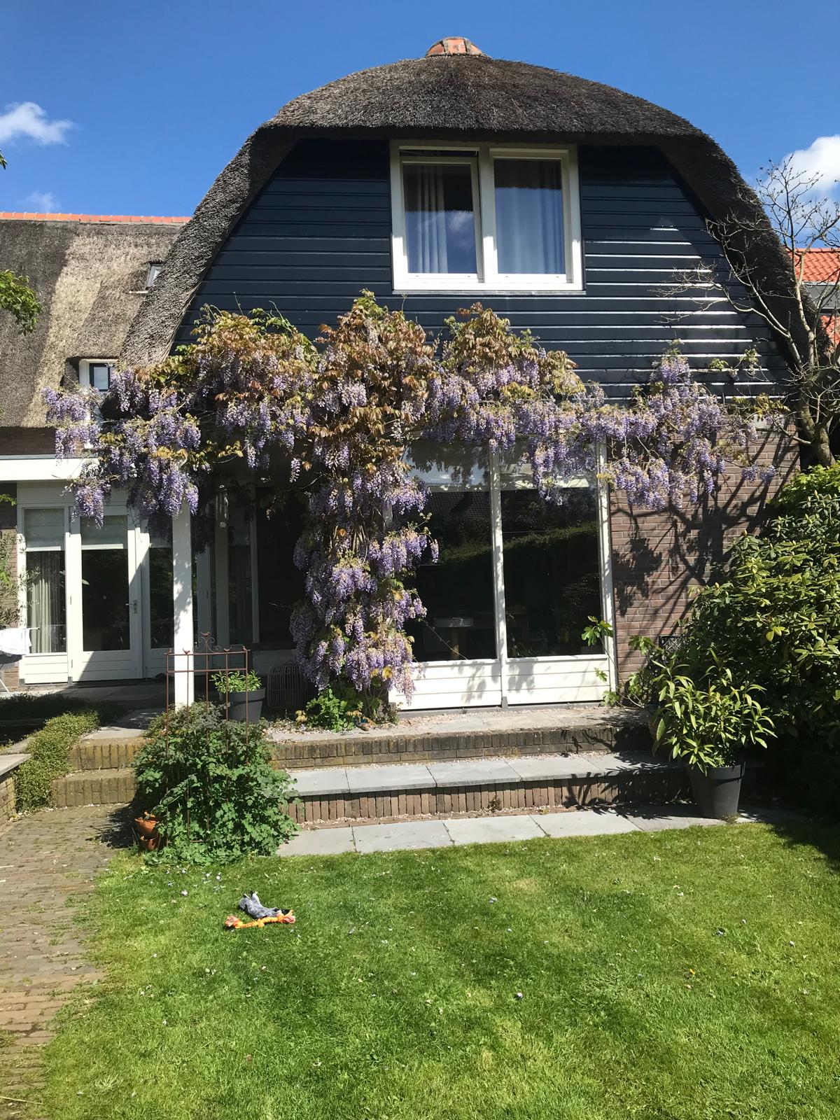 Foto 45 van Van Reenenpark 15