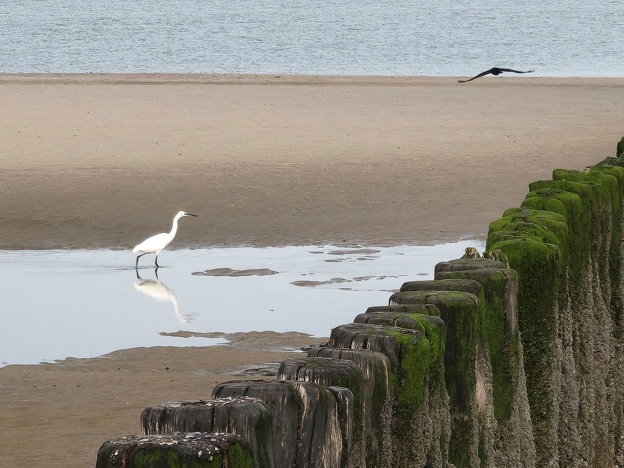 Foto 30 van Zeedijk 24-635