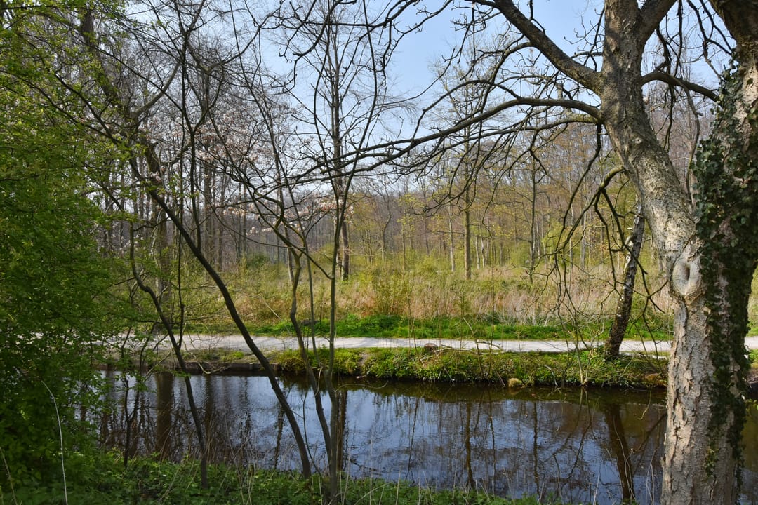 Foto 38 van Bezuidenhoutseweg 351-B