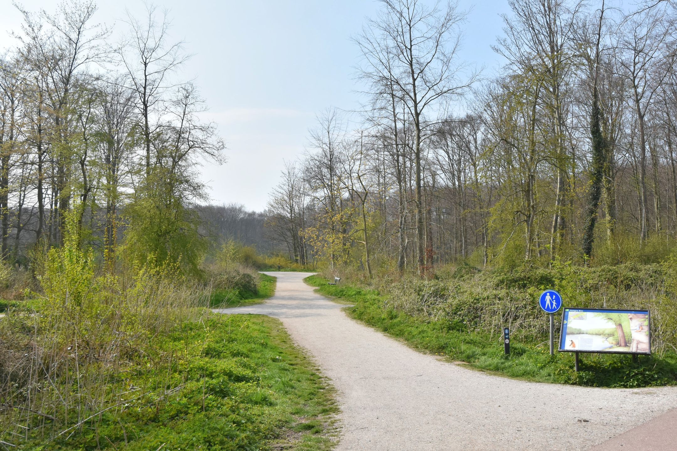 Foto 39 van Bezuidenhoutseweg 351-B