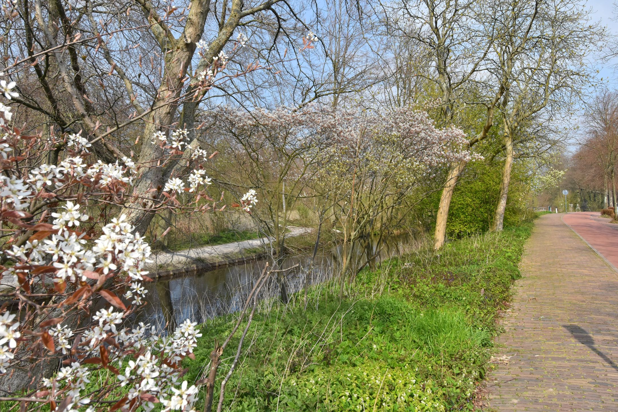 Foto 42 van Bezuidenhoutseweg 351-B