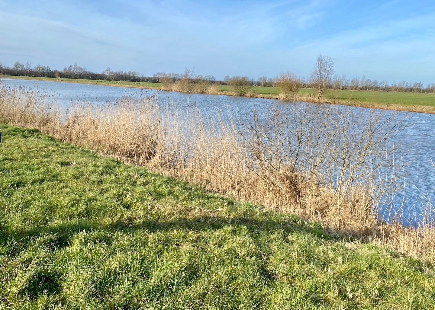 Foto 25 van Aasingel 21