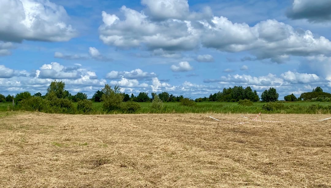 Foto 28 van Aasingel 21