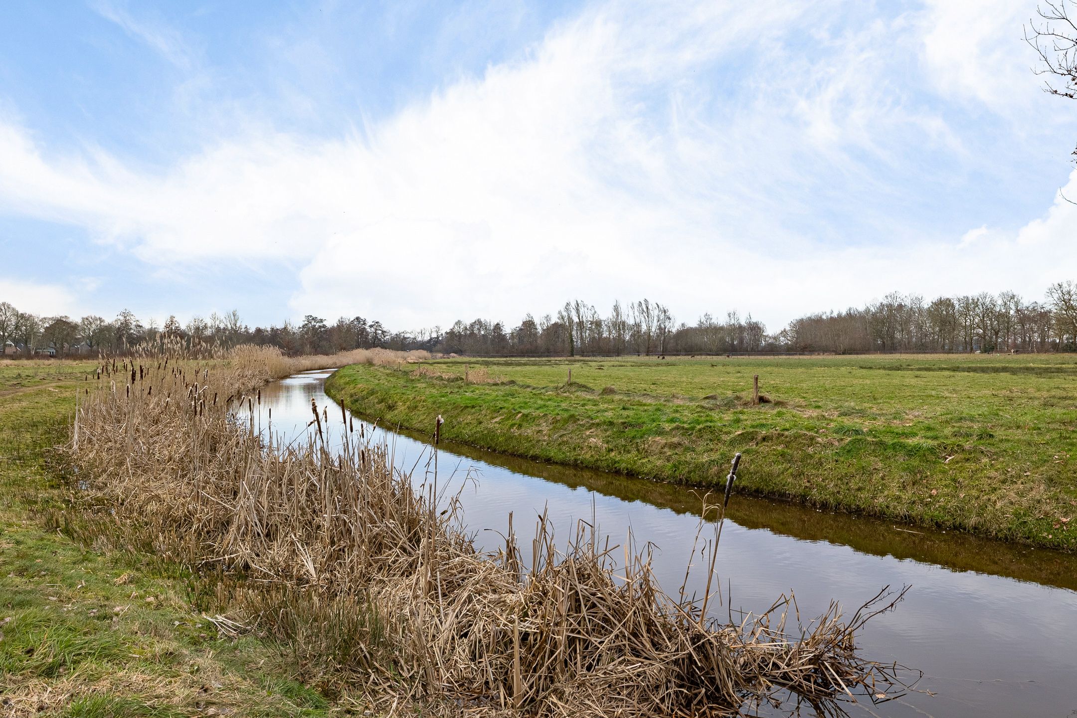 Foto 39 van Dilakker 5