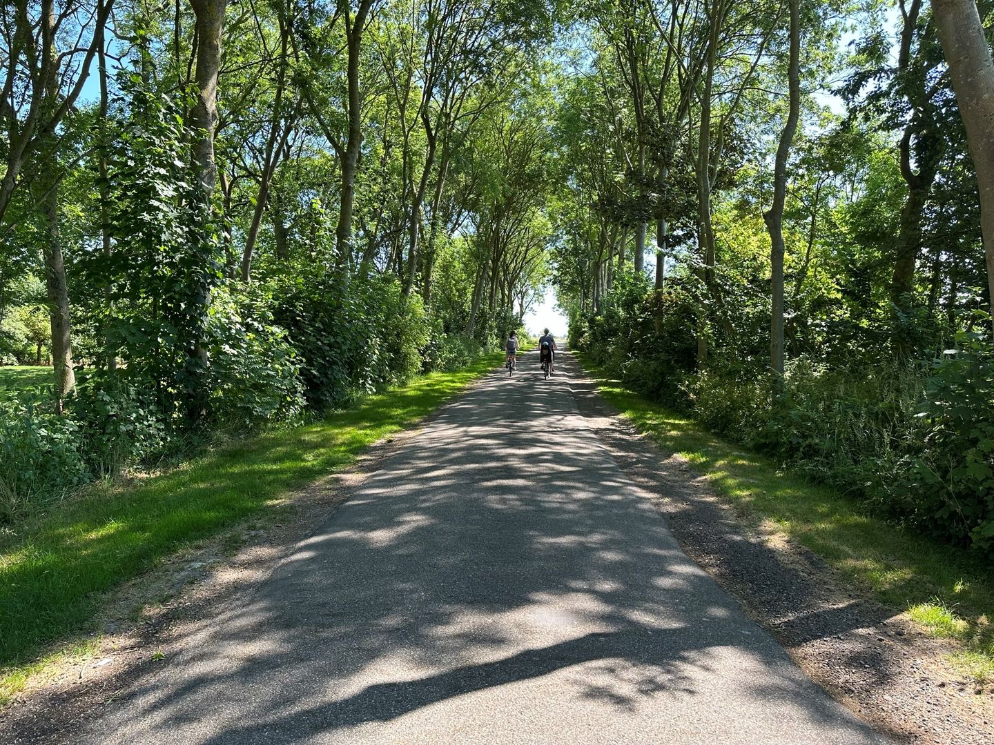 Foto 19 van Mettenijedijk 33-202
