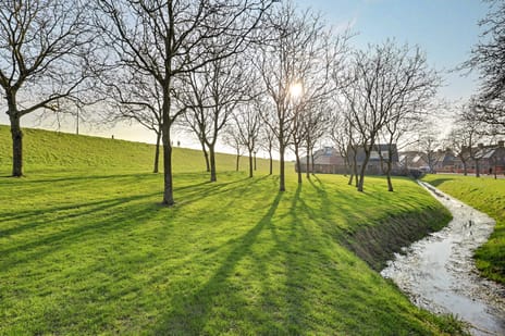 Bevrijdingssingel 15 secondary image