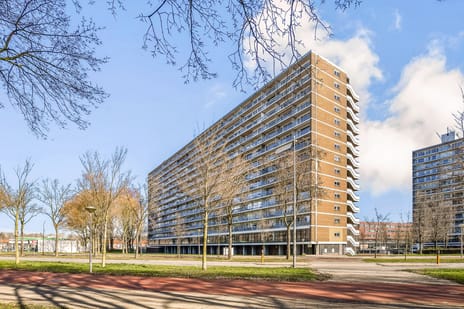 Burgemeester Hogguerstraat thumbnail