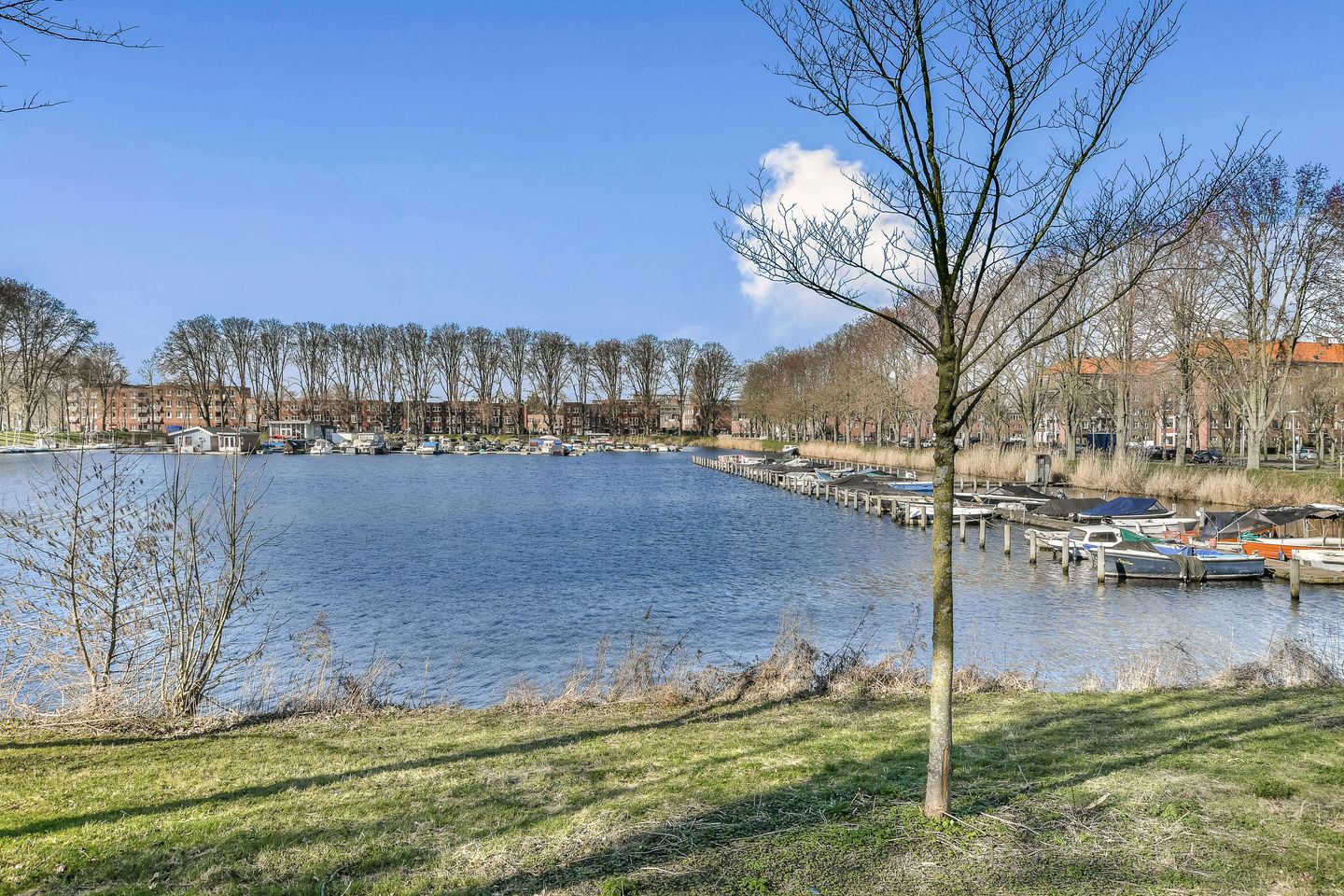 Foto 10 van Burgemeester Hogguerstraat 899