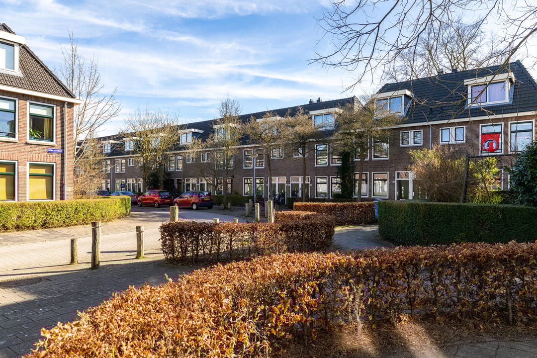 Foto 26 van Magna Petestraat 9