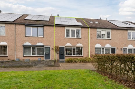 undefined main image