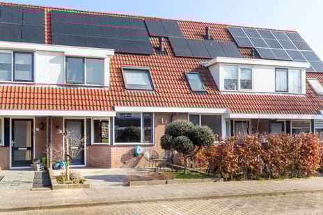 undefined main image