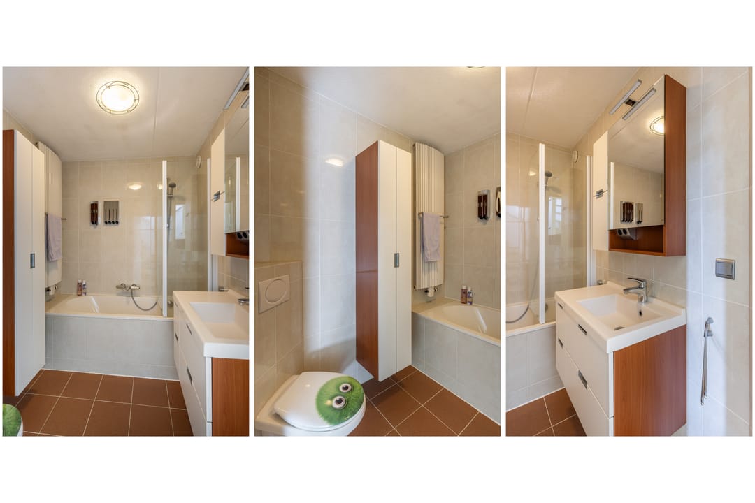 Photo 37 of Meanderlaan 214