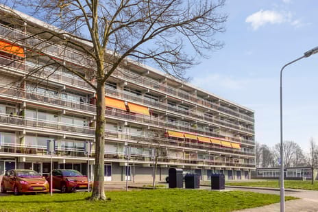 Peter van Anrooylaan thumbnail