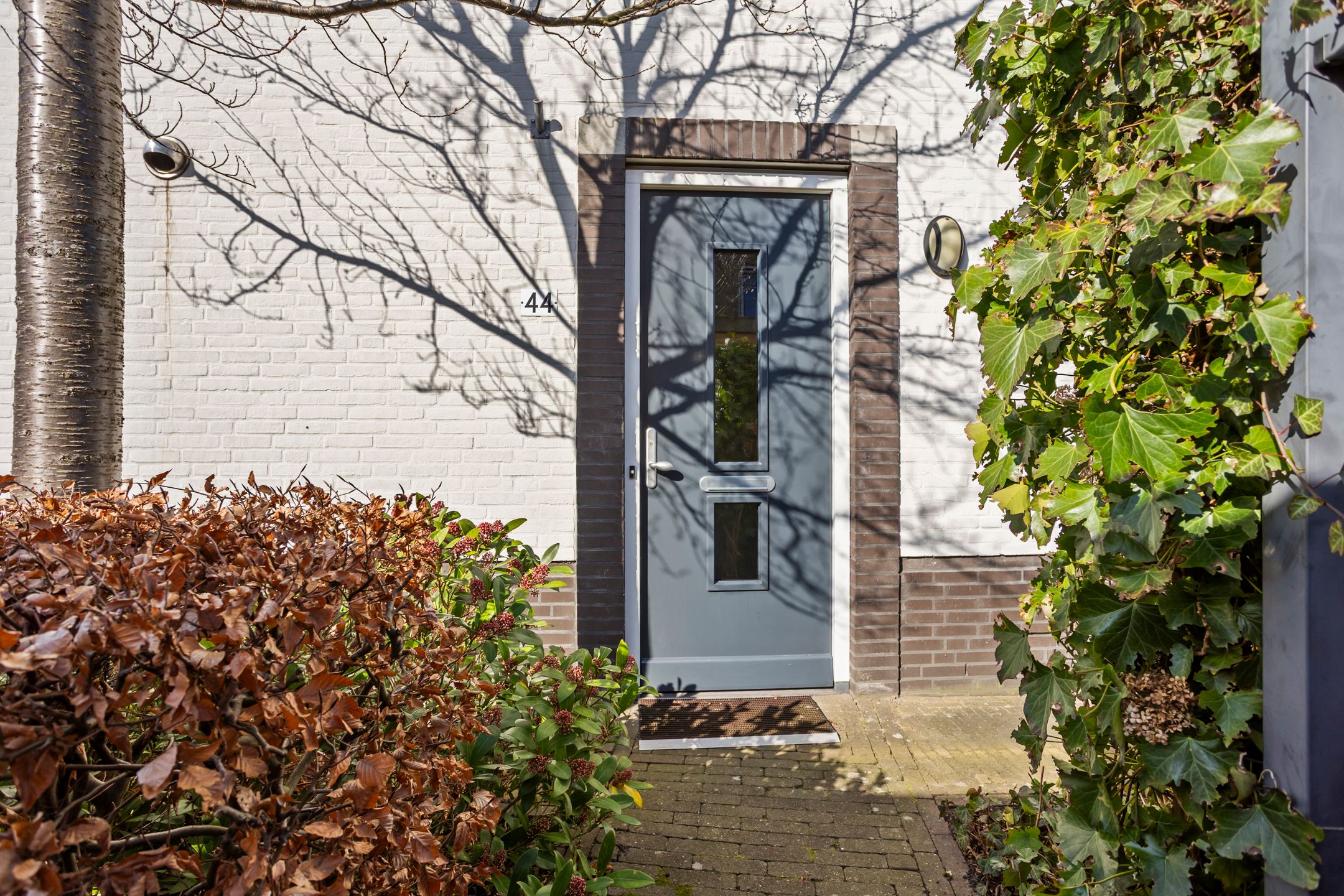 Foto 6 van Lofoten 44