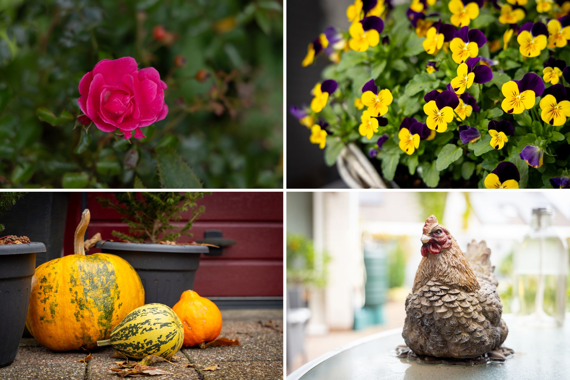 Foto 69 van Planetenlaan 78