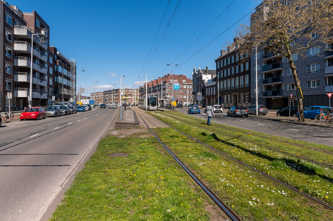 Turn Key 1-Bedroom Apartment with Communal Courtyard near Rotterdam Central — 36