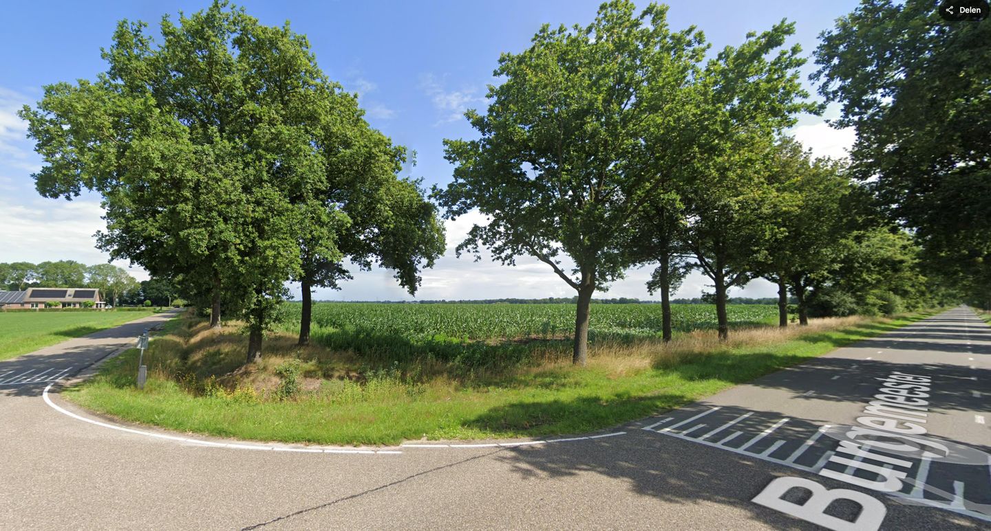 Bekijk foto 4 van Burg Ten Holteweg