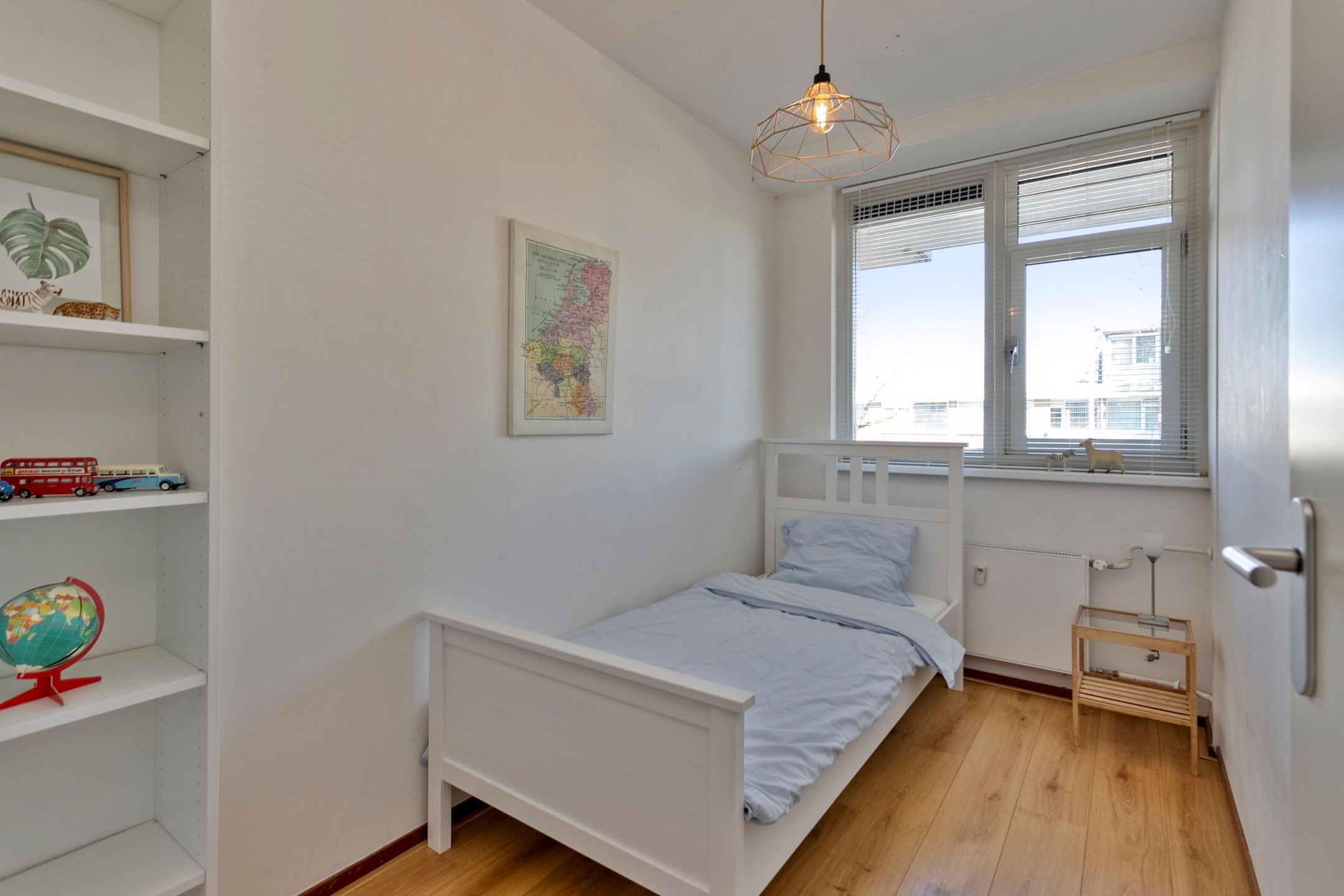 Foto 12 van Bolestein 734