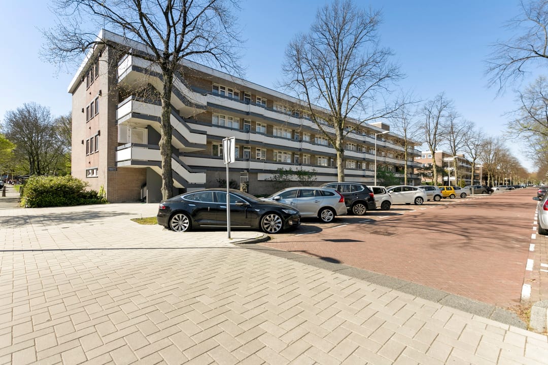 Foto 17 van Bolestein 734