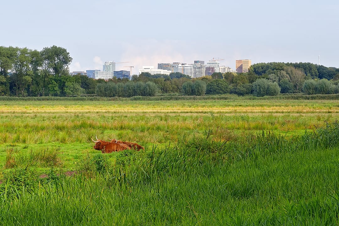 Foto 22 van Bolestein 734