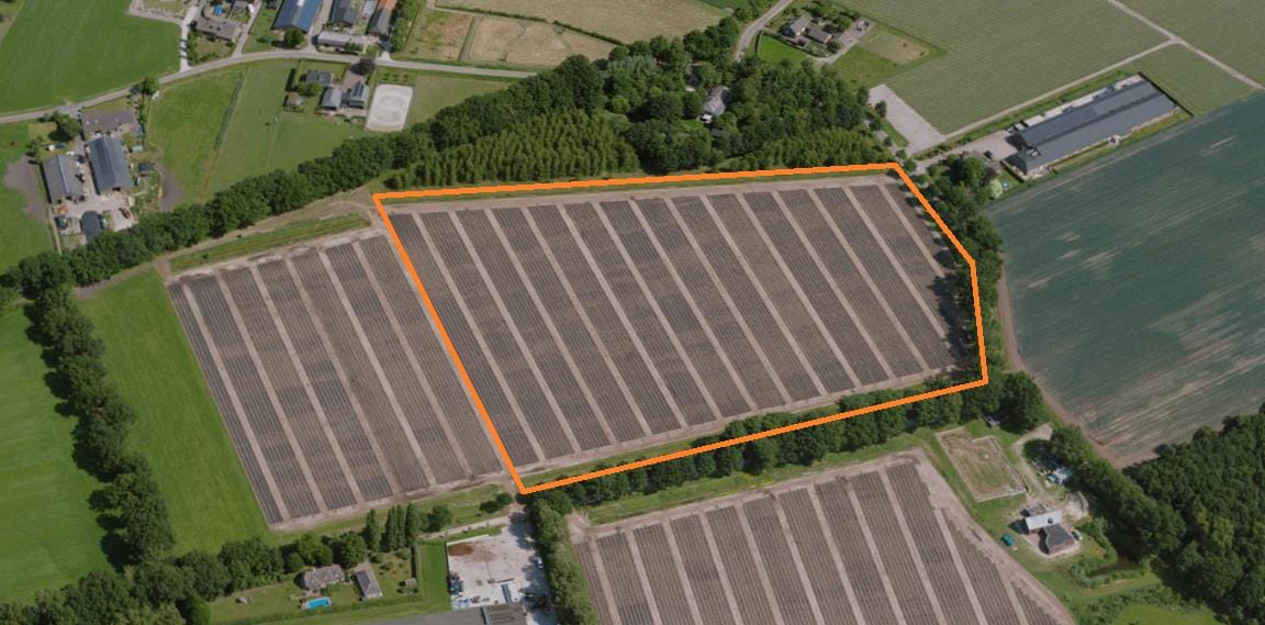 Driehuizen - Veghel - Afbeelding 1