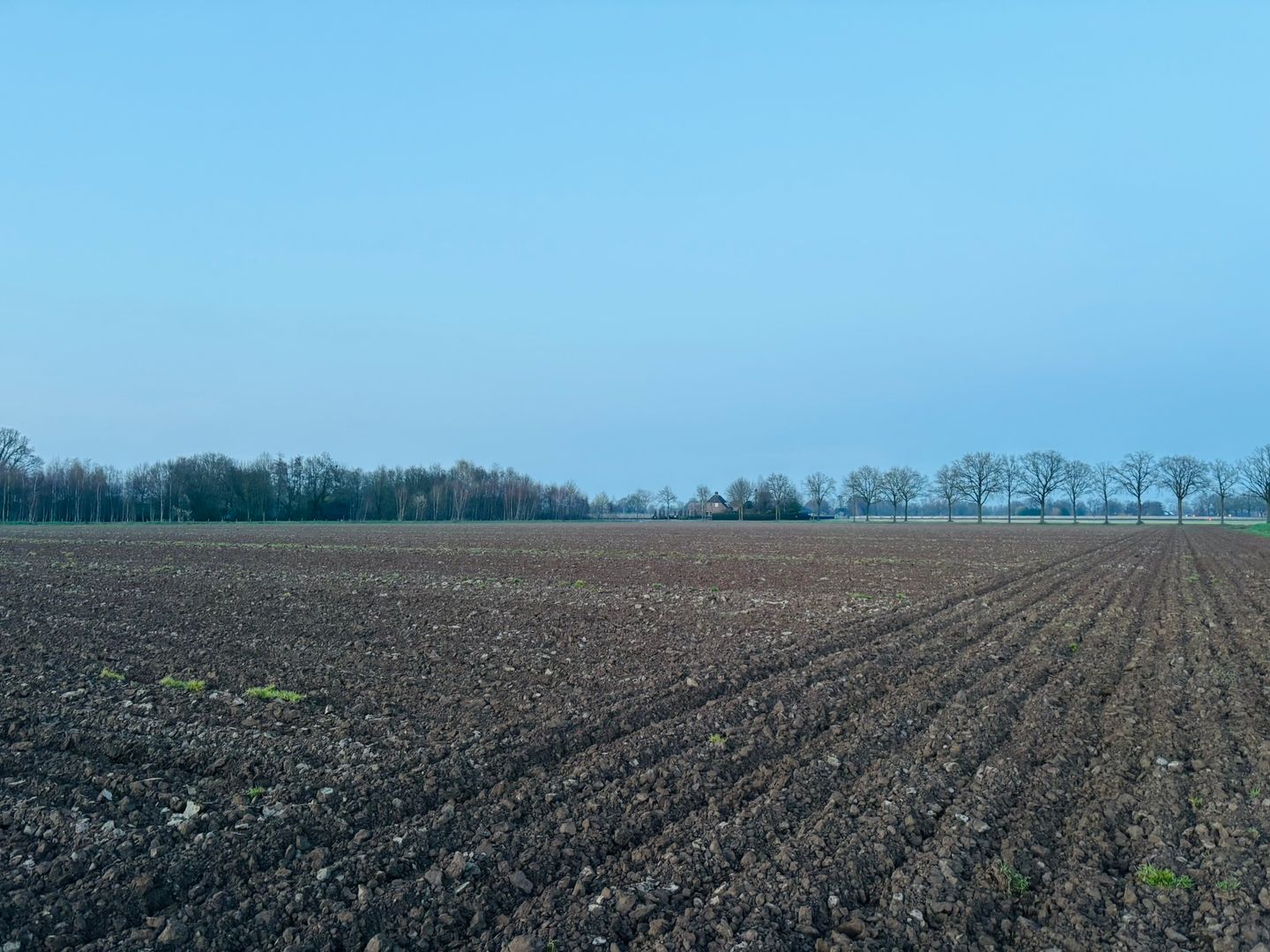 Bekijk foto 5 van Driehuizen