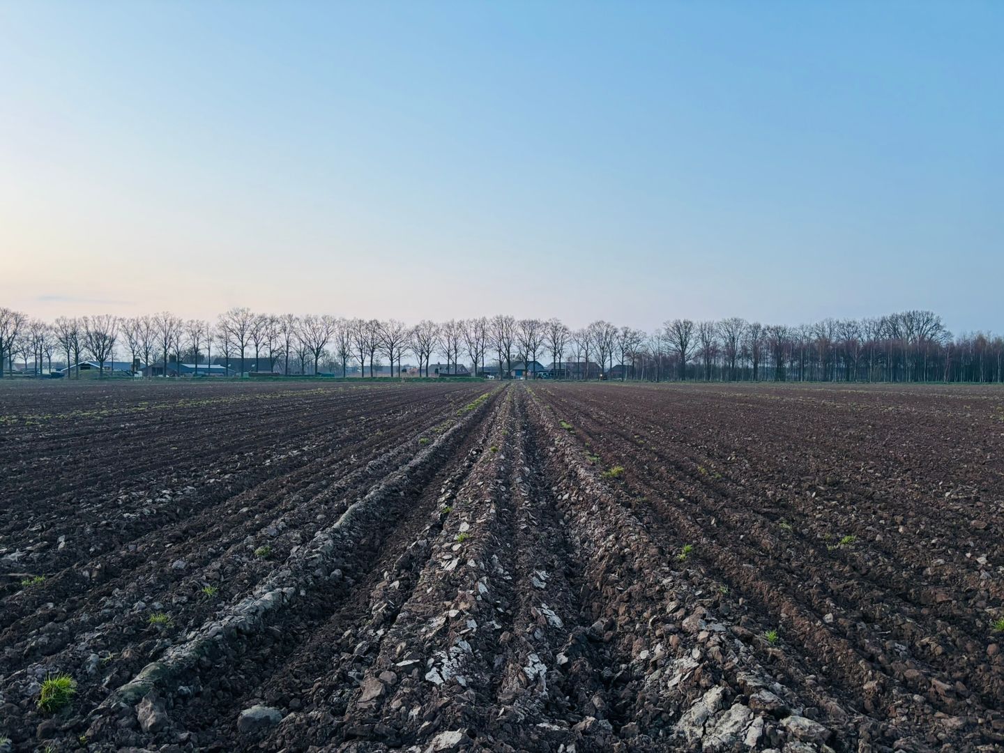 Driehuizen - Veghel - Afbeelding 7