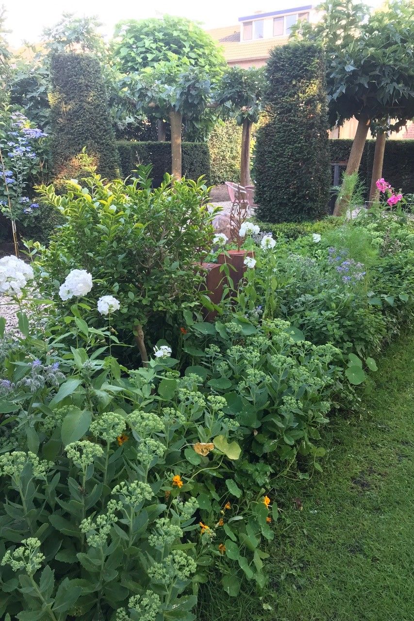 Foto 30 van Dorpstraat 8