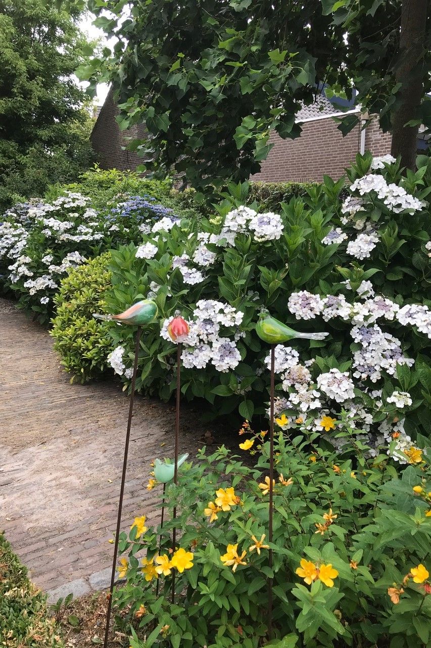 Foto 31 van Dorpstraat 8