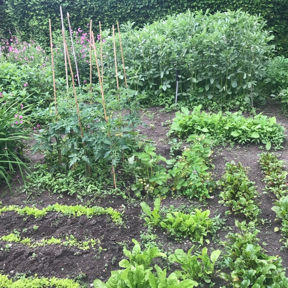 Foto 32 van Dorpstraat 8