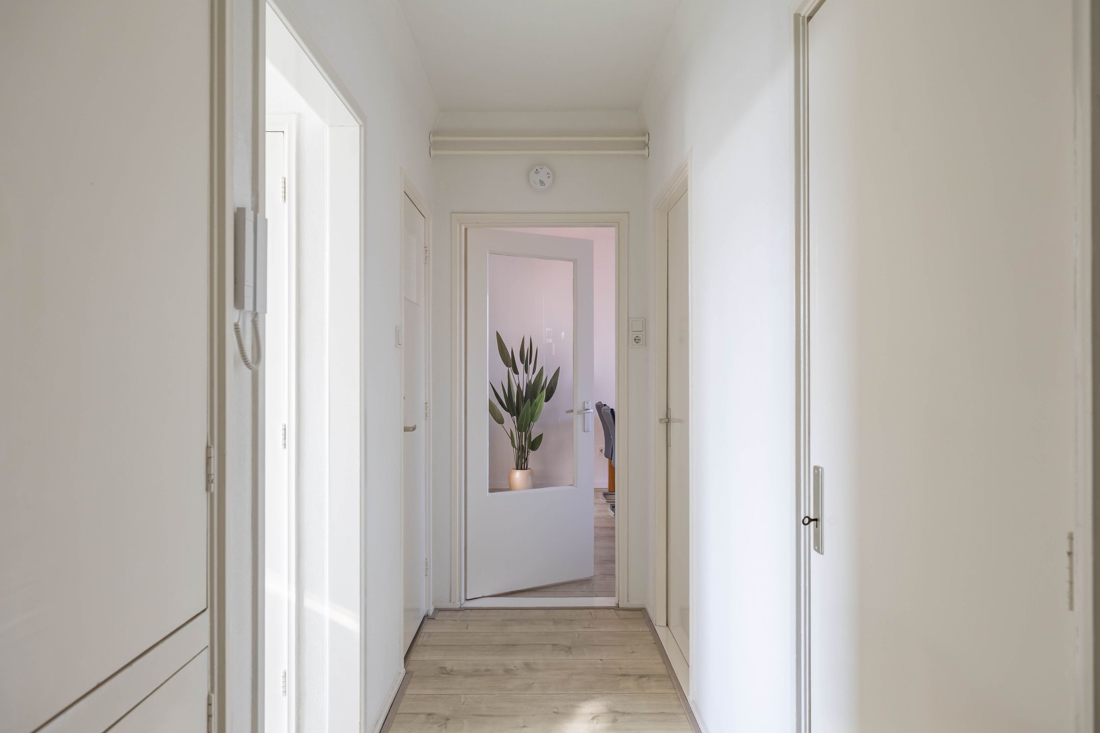 Photo 9 of Kochstraat 120