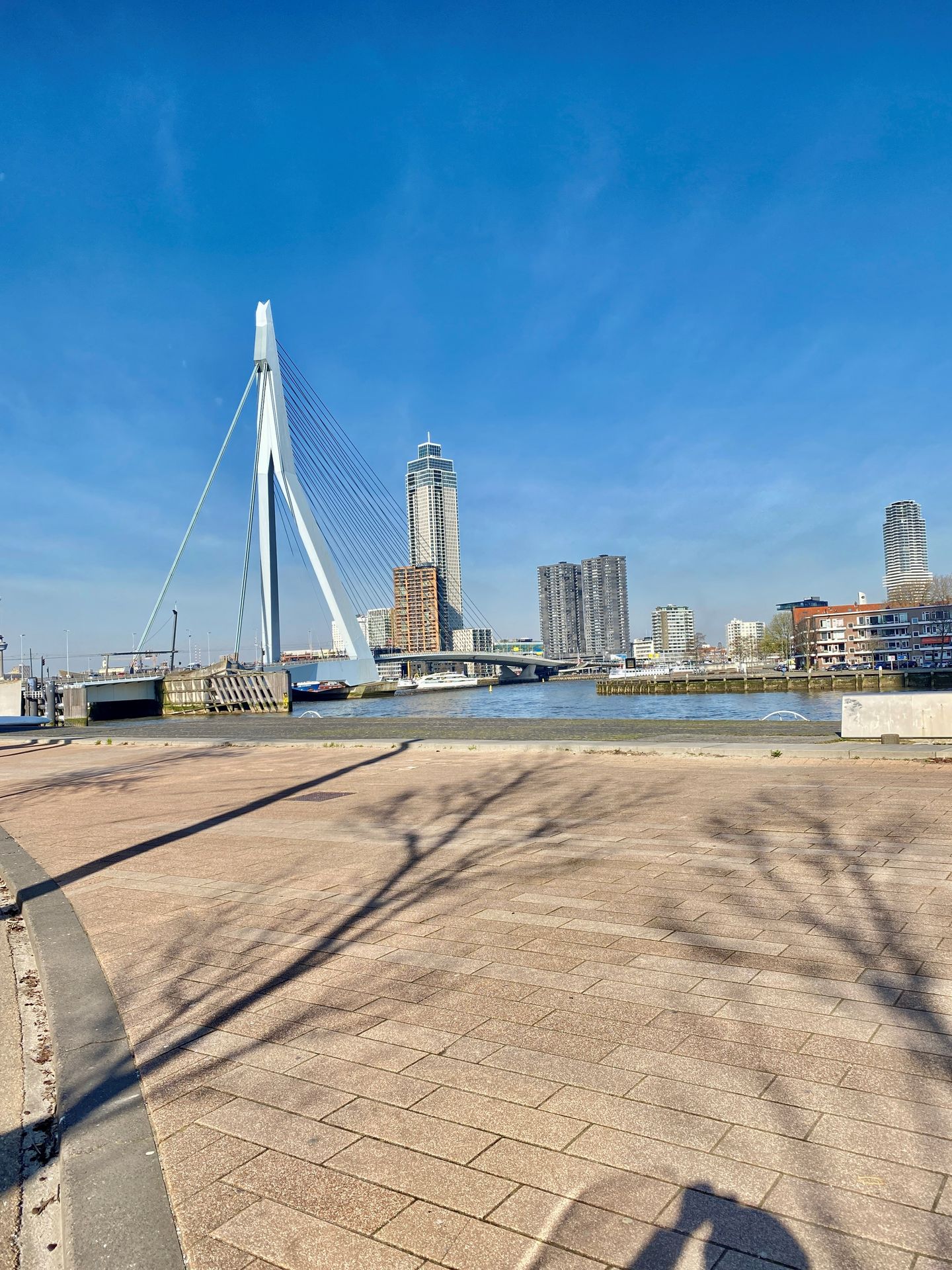 Foto 35 van Ernest Groosmanplein 13