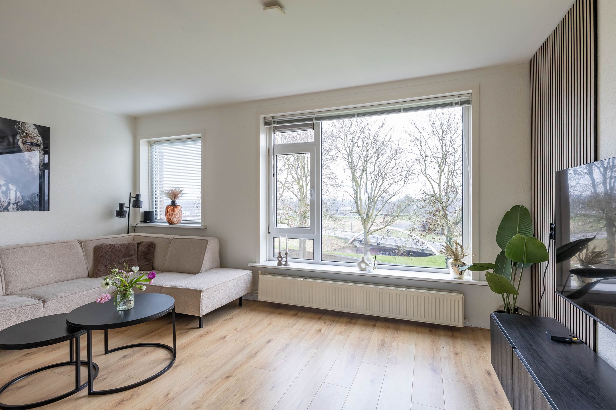 Photo 15 of Florakade 72