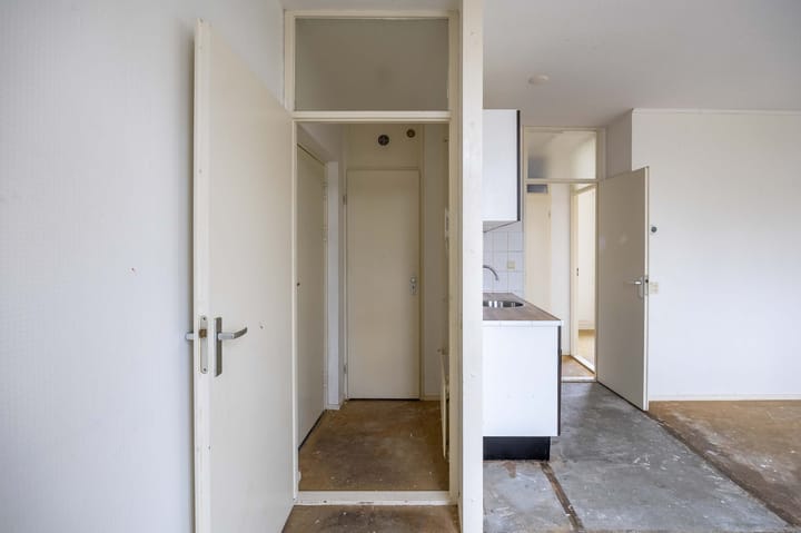 Photo 3 of Akelei 54