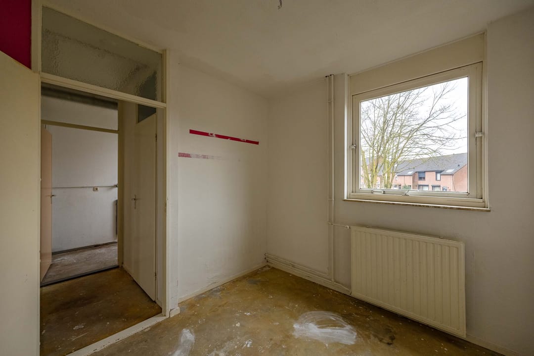 Photo 7 of Akelei 54