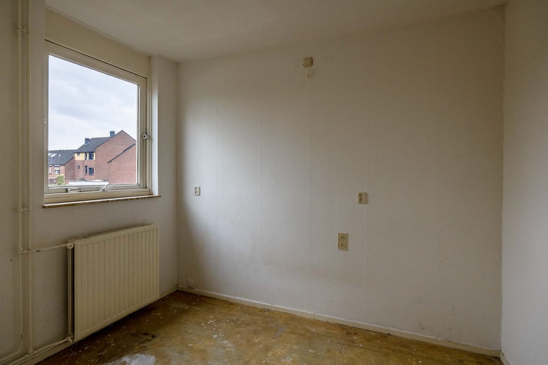 Photo 8 of Akelei 54