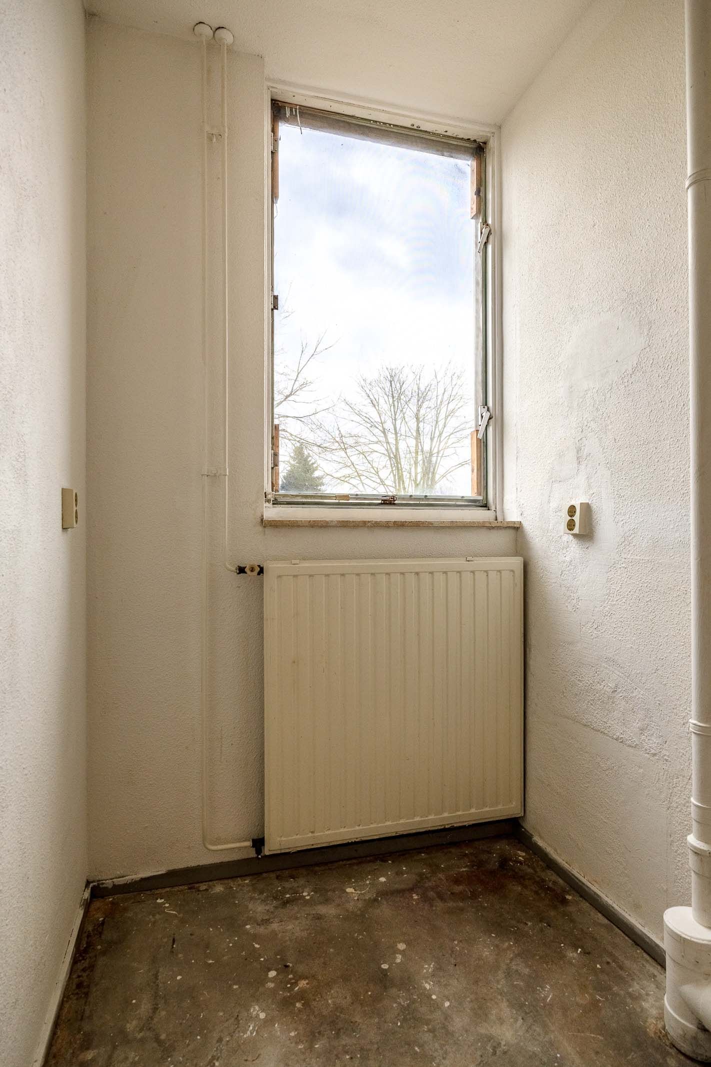 Photo 9 of Akelei 54