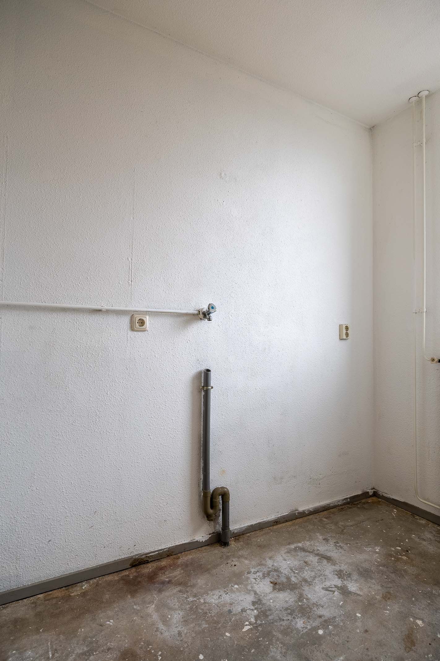 Photo 10 of Akelei 54